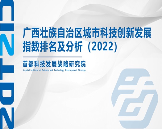 欧美操逼视频网址【成果发布】广西壮族自治区城市科技创新发展指数排名及分析（2022）